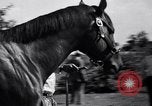Image of race horse War Admiral Lexington Kentucky USA, 1939, second 8 stock footage video 65675034130