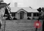 Image of race horse War Admiral Lexington Kentucky USA, 1939, second 10 stock footage video 65675034130
