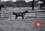 Image of race horse War Admiral Lexington Kentucky USA, 1939, second 28 stock footage video 65675034130