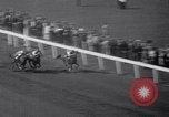 Standbild Rennpferd Bunty Lawless Toronto Ontario Kanada, 1939, aus Sekunde 18 historischem Filmmaterial Videoclip 65675034133