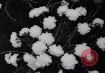 Image of Queen Elizabeth London England United Kingdom, 1961, second 45 stock footage video 65675034140