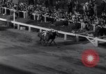 Image of race horse Bold Venture Baltimore Maryland USA, 1936, second 15 stock footage video 65675034146