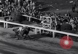 Image of race horse Bold Venture Baltimore Maryland USA, 1936, second 19 stock footage video 65675034146