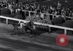 Image of race horse Bold Venture Baltimore Maryland USA, 1936, second 22 stock footage video 65675034146