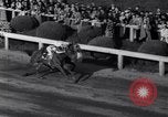 Image of race horse Bold Venture Baltimore Maryland USA, 1936, second 24 stock footage video 65675034146