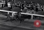 Image of race horse Bold Venture Baltimore Maryland USA, 1936, second 26 stock footage video 65675034146