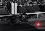 Image of race horse Bold Venture Baltimore Maryland USA, 1936, second 40 stock footage video 65675034146
