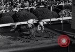 Image of race horse Bold Venture Baltimore Maryland USA, 1936, second 42 stock footage video 65675034146
