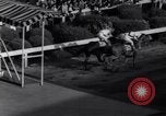 Image of race horse Bold Venture Baltimore Maryland USA, 1936, second 47 stock footage video 65675034146