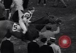 Image of race horse Bold Venture Baltimore Maryland USA, 1936, second 50 stock footage video 65675034146