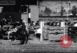 Immagine di Cavallo e bull ride San Jose California USA, 1961, secondo 11 filmato di repertorio 65675034156