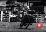 Immagine di Cavallo e bull ride San Jose California USA, 1961, secondo 13 filmato di repertorio 65675034156