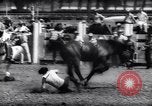 Immagine di Cavallo e bull ride San Jose California USA, 1961, secondo 15 filmato di repertorio 65675034156