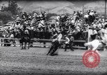 Immagine di Cavallo e bull ride San Jose California USA, 1961, secondo 18 filmato di repertorio 65675034156