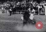 Immagine di Cavallo e bull ride San Jose California USA, 1961, secondo 28 filmato di repertorio 65675034156