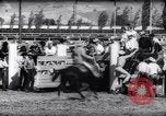 Immagine di Cavallo e bull ride San Jose California USA, 1961, secondo 31 filmato di repertorio 65675034156