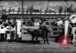Immagine di Cavallo e bull ride San Jose California USA, 1961, secondo 32 filmato di repertorio 65675034156