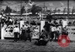 Immagine di Cavallo e bull ride San Jose California USA, 1961, secondo 34 filmato di repertorio 65675034156