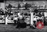 Immagine di Cavallo e bull ride San Jose California USA, 1961, secondo 35 filmato di repertorio 65675034156