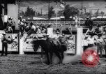 Immagine di Cavallo e bull ride San Jose California USA, 1961, secondo 36 filmato di repertorio 65675034156