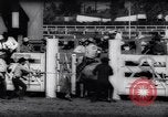 Immagine di Cavallo e bull ride San Jose California USA, 1961, secondo 40 filmato di repertorio 65675034156