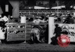 Immagine di Cavallo e bull ride San Jose California USA, 1961, secondo 41 filmato di repertorio 65675034156