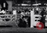 Immagine di Cavallo e bull ride San Jose California USA, 1961, secondo 42 filmato di repertorio 65675034156