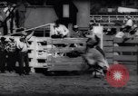 Immagine di Cavallo e bull ride San Jose California USA, 1961, secondo 44 filmato di repertorio 65675034156