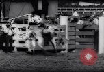 Immagine di Cavallo e bull ride San Jose California USA, 1961, secondo 45 filmato di repertorio 65675034156