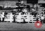 Immagine di Cavallo e bull ride San Jose California USA, 1961, secondo 48 filmato di repertorio 65675034156