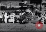Immagine di Cavallo e bull ride San Jose California USA, 1961, secondo 49 filmato di repertorio 65675034156