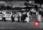 Immagine di Cavallo e bull ride San Jose California USA, 1961, secondo 50 filmato di repertorio 65675034156