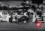 Immagine di Cavallo e bull ride San Jose California USA, 1961, secondo 51 filmato di repertorio 65675034156