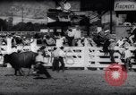Immagine di Cavallo e bull ride San Jose California USA, 1961, secondo 54 filmato di repertorio 65675034156