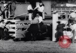 Immagine di Cavallo e bull ride San Jose California USA, 1961, secondo 55 filmato di repertorio 65675034156