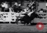 Immagine di Cavallo e bull ride San Jose California USA, 1961, secondo 56 filmato di repertorio 65675034156