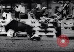 Immagine di Cavallo e bull ride San Jose California USA, 1961, secondo 57 filmato di repertorio 65675034156