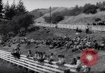 Image of kids ride La Honda California USA, 1961, second 7 stock footage video 65675034162