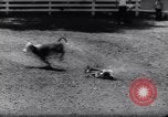 Image of kids ride La Honda California USA, 1961, second 19 stock footage video 65675034162