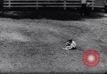 Image of kids ride La Honda California USA, 1961, second 20 stock footage video 65675034162