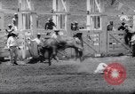 Image of kids ride La Honda California USA, 1961, second 43 stock footage video 65675034162