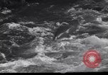 Image of Players do kayaking Czechoslovakia, 1961, second 29 stock footage video 65675034163