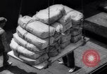 Image of Stocking supplies in Berlin Berlin West Germany, 1961, second 12 stock footage video 65675034165