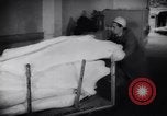 Image of Stocking supplies in Berlin Berlin West Germany, 1961, second 39 stock footage video 65675034165