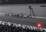 Image of race horse Mr America Inglewood California USA, 1961, second 27 stock footage video 65675034168