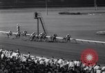 Image of race horse Mr America Inglewood California USA, 1961, second 28 stock footage video 65675034168