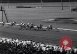 Image of race horse Mr America Inglewood California USA, 1961, second 29 stock footage video 65675034168