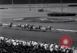 Image of race horse Mr America Inglewood California USA, 1961, second 30 stock footage video 65675034168