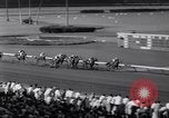 Image of race horse Mr America Inglewood California USA, 1961, second 31 stock footage video 65675034168