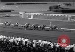 Image of race horse Mr America Inglewood California USA, 1961, second 32 stock footage video 65675034168